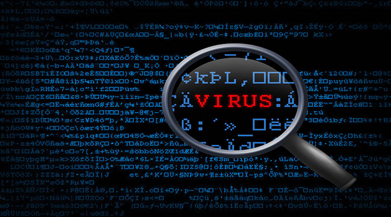 Computer Worm vs Virus
